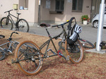 IMG_0054.jpg