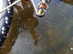 lake5.jpg